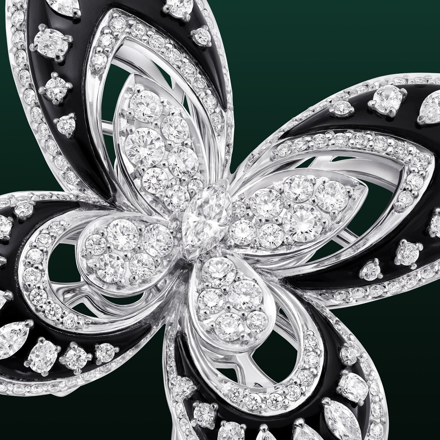 Image shows close up of Graff Butterfly Selene Brooch