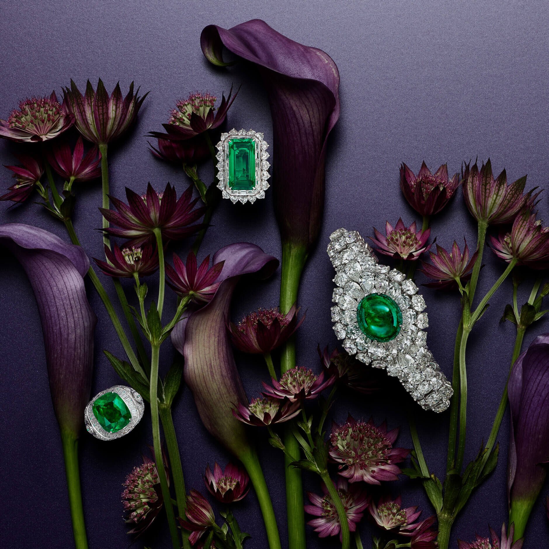 Graff emerald and diamond High jewellery with flowers decorations