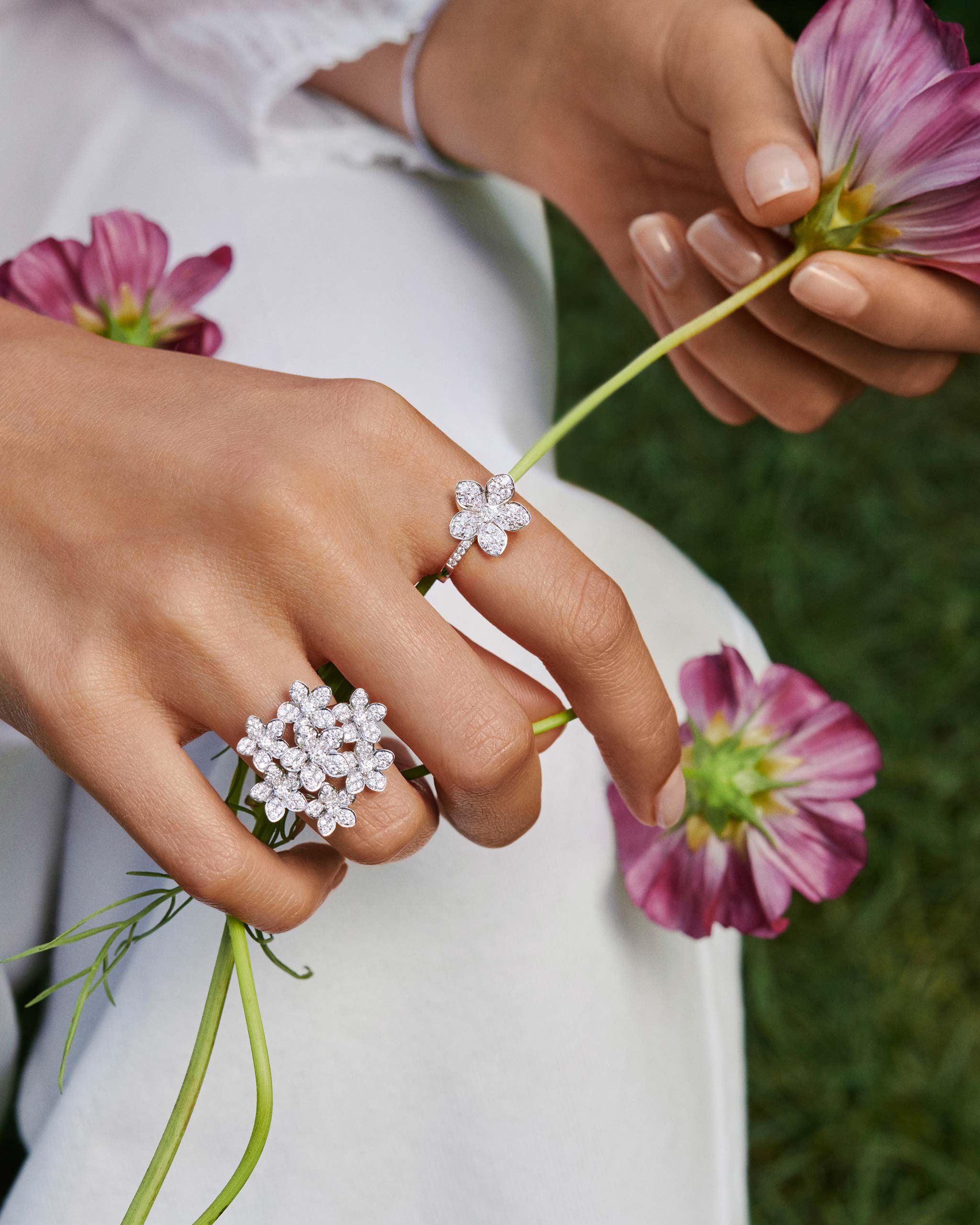 Model wear the Graff Wild Flower collection diamond rings