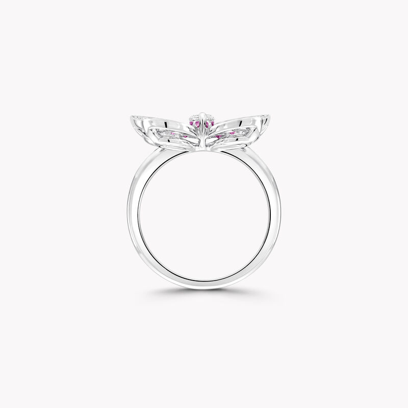 Butterfly Ruby, Pink Sapphire and Diamond Ring