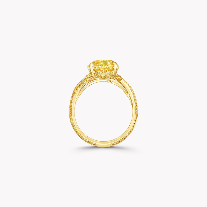 橢圓形黃鑽高級珠寶戒指, , hi-res