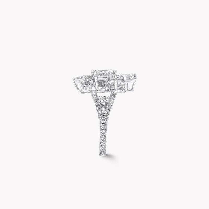 Multi Shape Diamond Ring