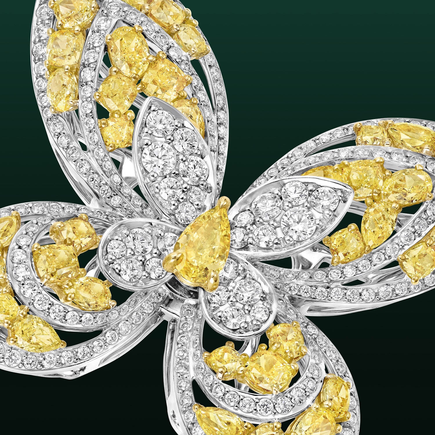 Image shows Graff Butterfly Freya Brooch