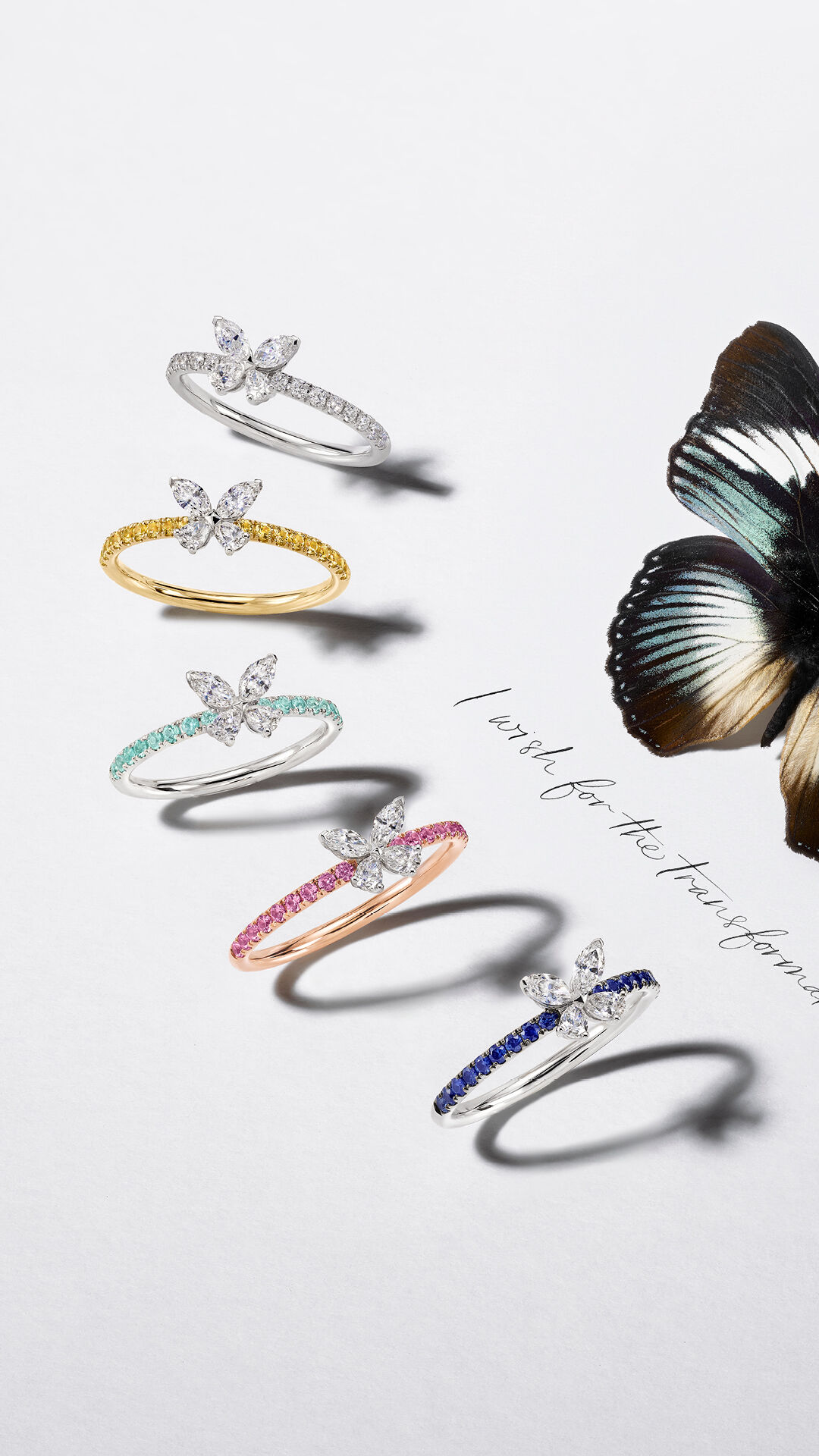 Image shows Graff Butterfly rings