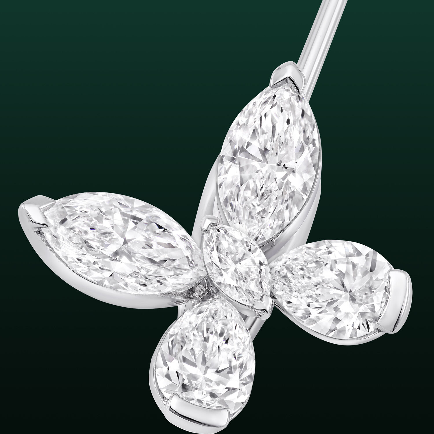 Image shows close up of Graff Butterfly Selene Brooch