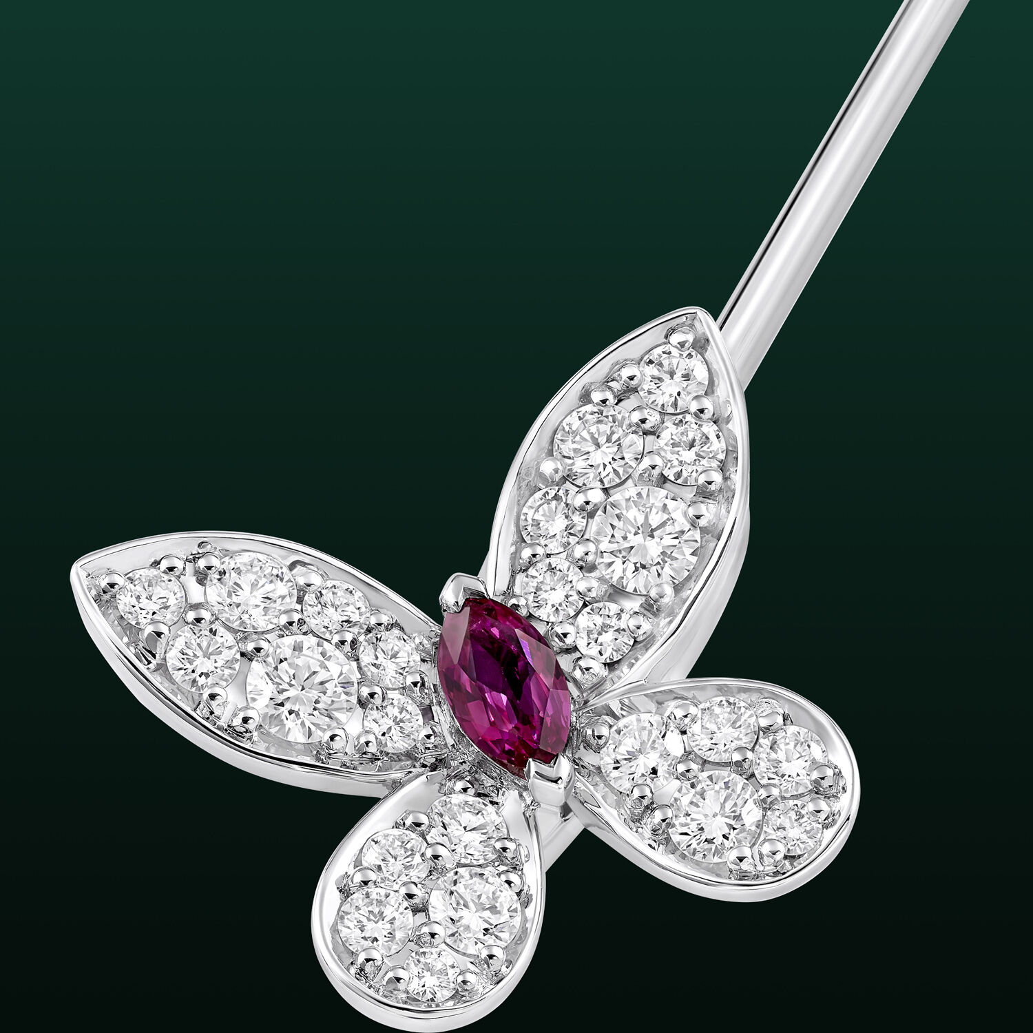 Image shows close up of Graff Butterfly Lina Brooch