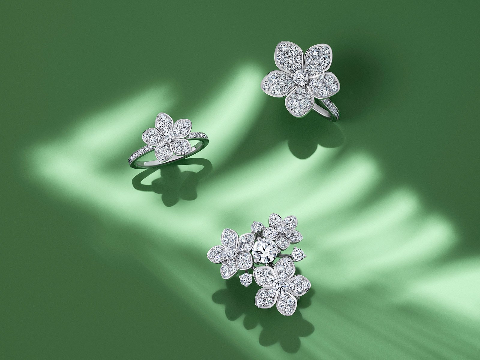 Graff Wild Flower jewellery collection diamond rings